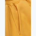 Pantaloni da corsa Pitbull Lancaster 2 da uomo, giallo slavato 10