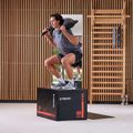 XTREXO 20 kg sacco bulgaro nero 10