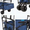 AQUASTIC Cart blu 6