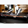 TREXO Walking Pad W150 tapis roulant elettrico nero 10
