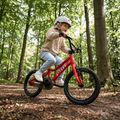 Bicicletta per bambini ATTABO EASE 16" rosso 6