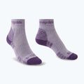 Calze da donna Bridgedale Hike Lightweight Performance Ankle heather/damson