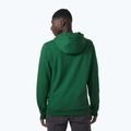 Felpa con cappuccio Helly Hansen F2F Uomo in cotone organico malachite 2