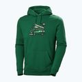 Felpa con cappuccio Helly Hansen F2F Uomo in cotone organico malachite 4