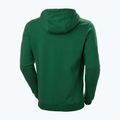 Felpa con cappuccio Helly Hansen F2F Uomo in cotone organico malachite 5