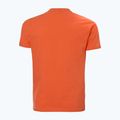 Maglietta Helly Hansen HH Box flame da uomo 5