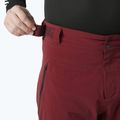 Pantaloni da sci da uomo Helly Hansen Alpha Lifaloft mars red 3