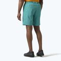Pantaloncini da vela da uomo Helly Hansen Hp Sirocco 9" dark mint 2