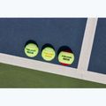 Palline da tennis per bambini HEAD Stage 2 3 pezzi arancione 5