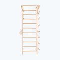 Scala ginnica RINAGYM Sport 2 2