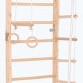 Scala ginnica RINAGYM Sport 2 3