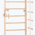 Scala ginnica RINAGYM Sport 2 4