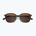 Occhiali da sole Ray-Ban Leonard tortoise/brown polarized 3