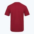T-shirt Aeronautica Militare Essential bordeaux da uomo 2