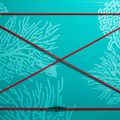 SUP ABSTRACT Coral 10'6'' tavola topazio 3