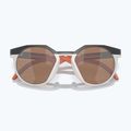 Occhiali da sole Oakley HSTN carbon/cool grey/prizm tungsten 5