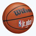 Wilson NBA JR Fam Logo Autentico Outdoor marrone basket taglia 6 2