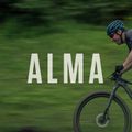 Orbea Alma H50 nero/verde mountain bike 17