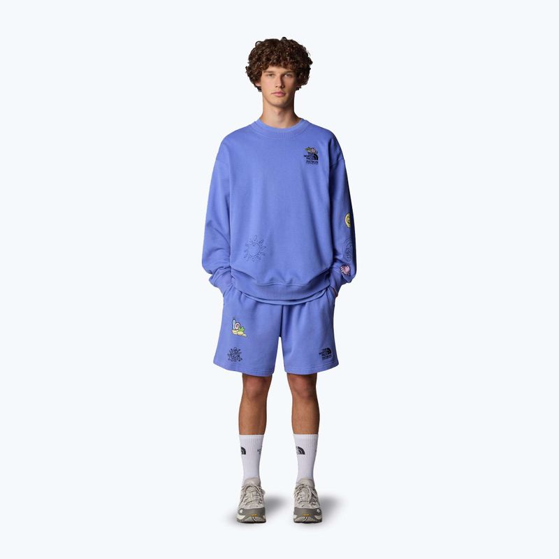 The North Face Mountain Cleanup Pantaloncini blu virtuali rilassati 2
