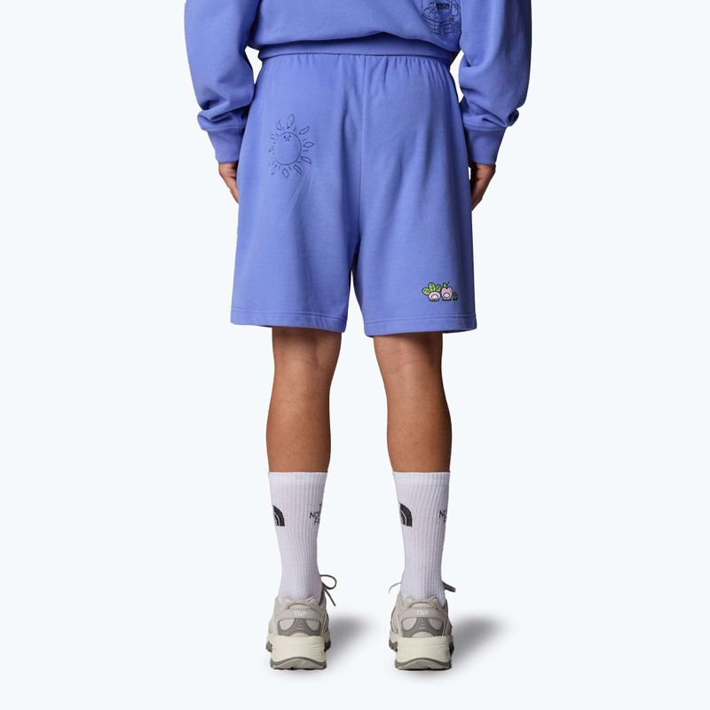 The North Face Mountain Cleanup Pantaloncini blu virtuali rilassati 3