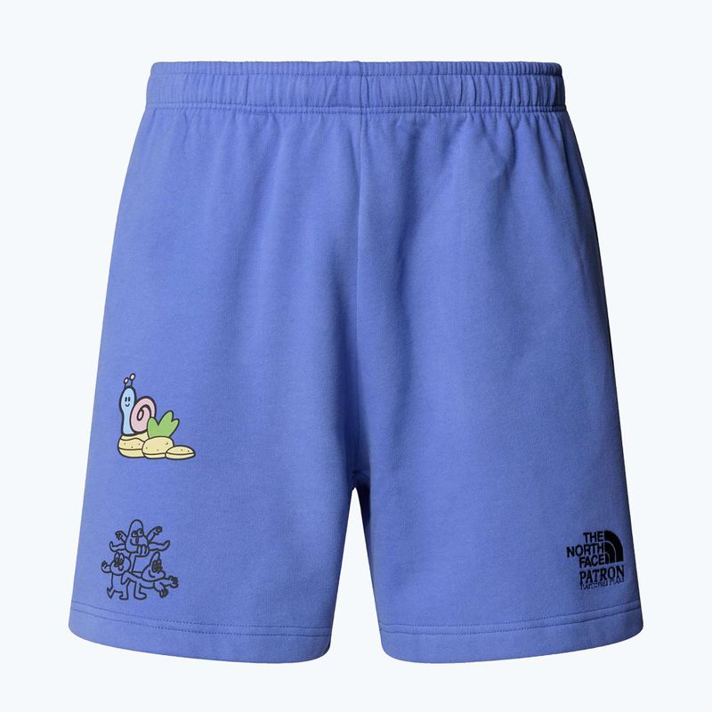 The North Face Mountain Cleanup Pantaloncini blu virtuali rilassati 4