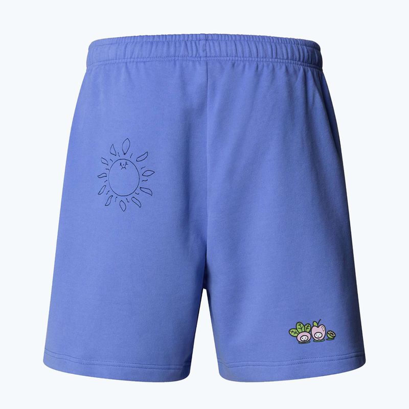 The North Face Mountain Cleanup Pantaloncini blu virtuali rilassati 5