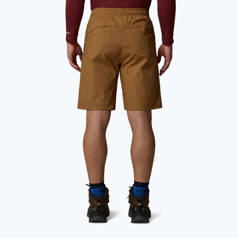 Pantaloncini da uomo The North Face Limestone utility brown 3