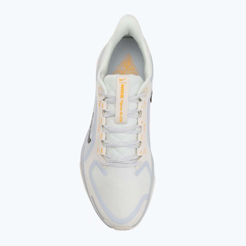 Scarpe da corsa uomo Nike Pegasus 41 GTX sail/football grey/sundial/ashen slate 5