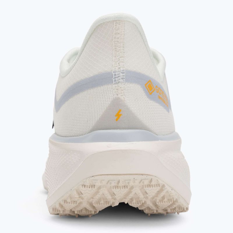 Scarpe da corsa uomo Nike Pegasus 41 GTX sail/football grey/sundial/ashen slate 6