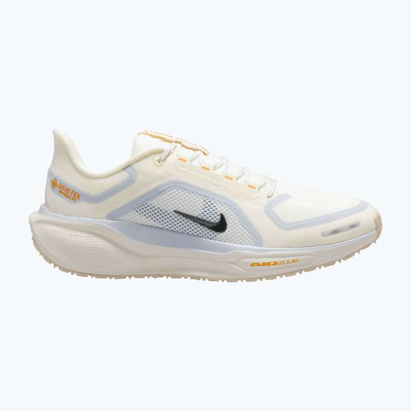 Scarpe da corsa uomo Nike Pegasus 41 GTX sail/football grey/sundial/ashen slate 8