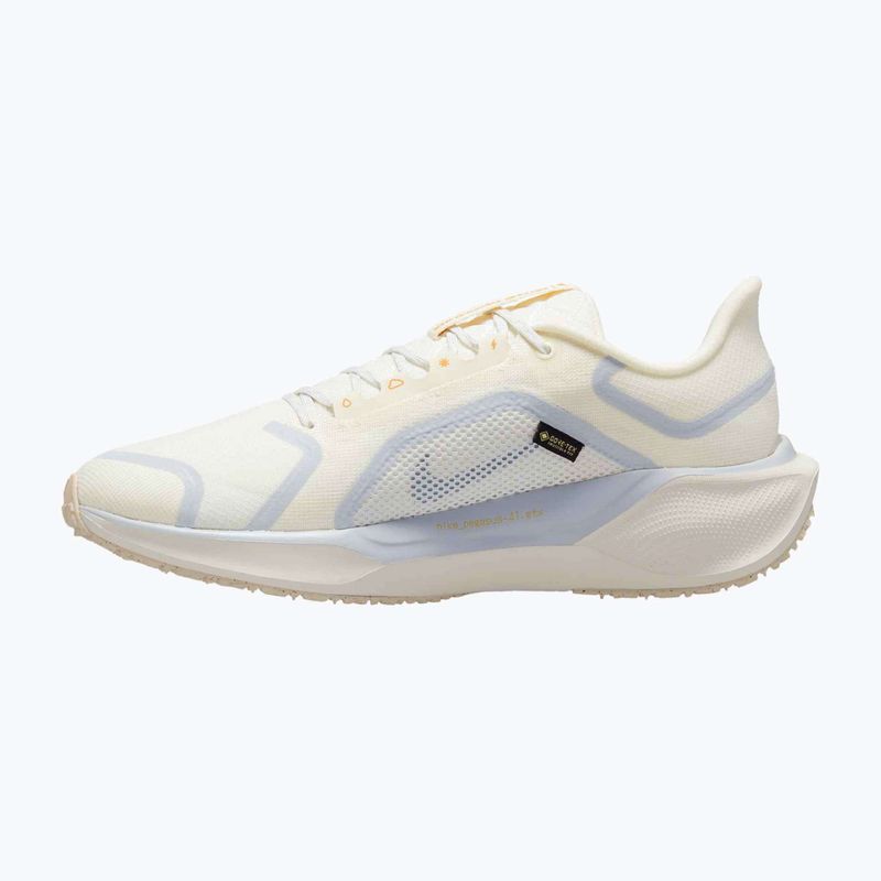 Scarpe da corsa uomo Nike Pegasus 41 GTX sail/football grey/sundial/ashen slate 9