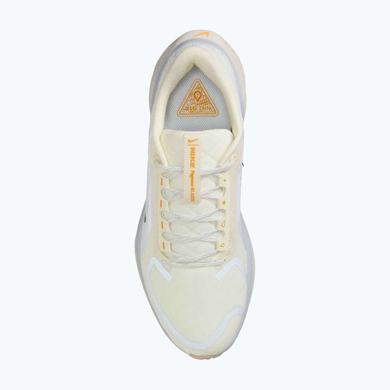 Scarpe da corsa uomo Nike Pegasus 41 GTX sail/football grey/sundial/ashen slate 10
