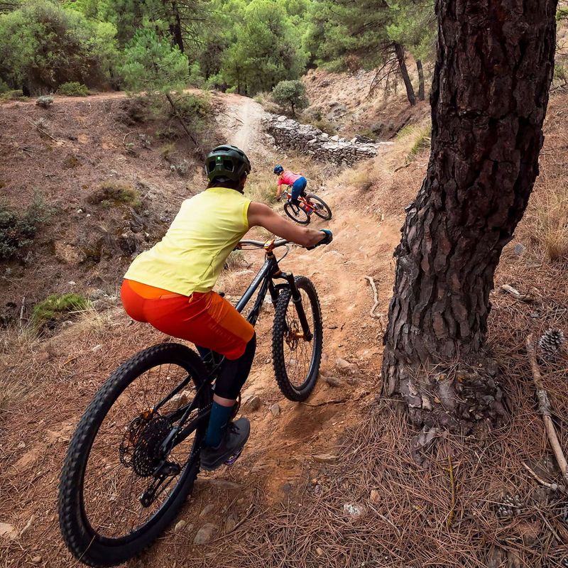 Maglia ciclismo donna Endura Singletrack Tank Top W sulphur 11