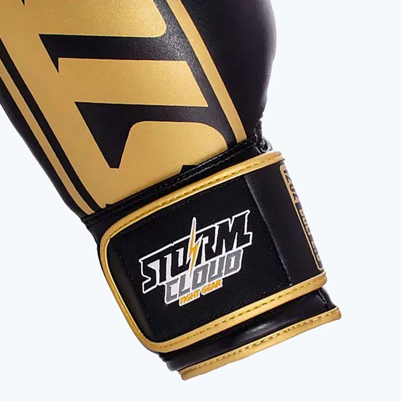 Guantoni da boxe StormCloud Bolt 2 11