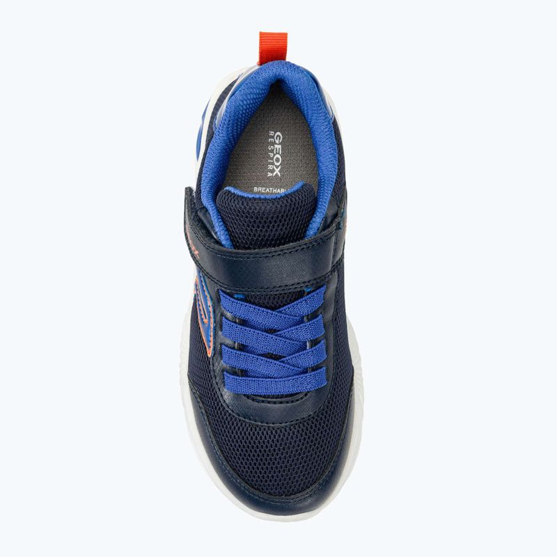Geox Assister junior scarpe blu/royal 5