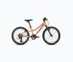 Bici bambini