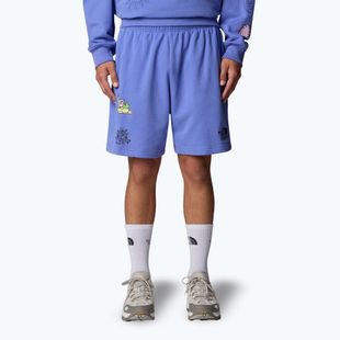 The North Face Mountain Cleanup Pantaloncini blu virtuali rilassati